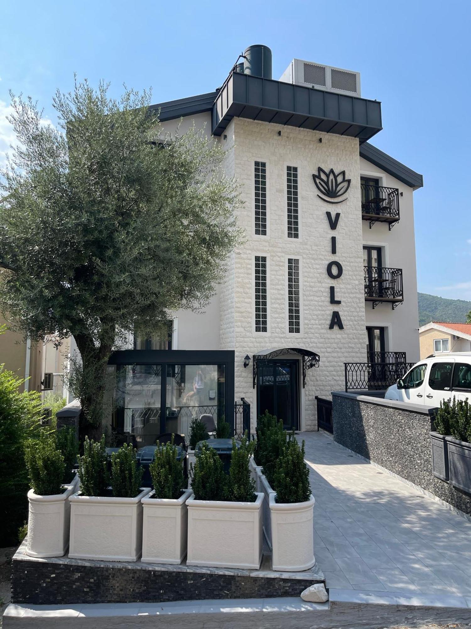 Viola Hotel بودفا المظهر الخارجي الصورة