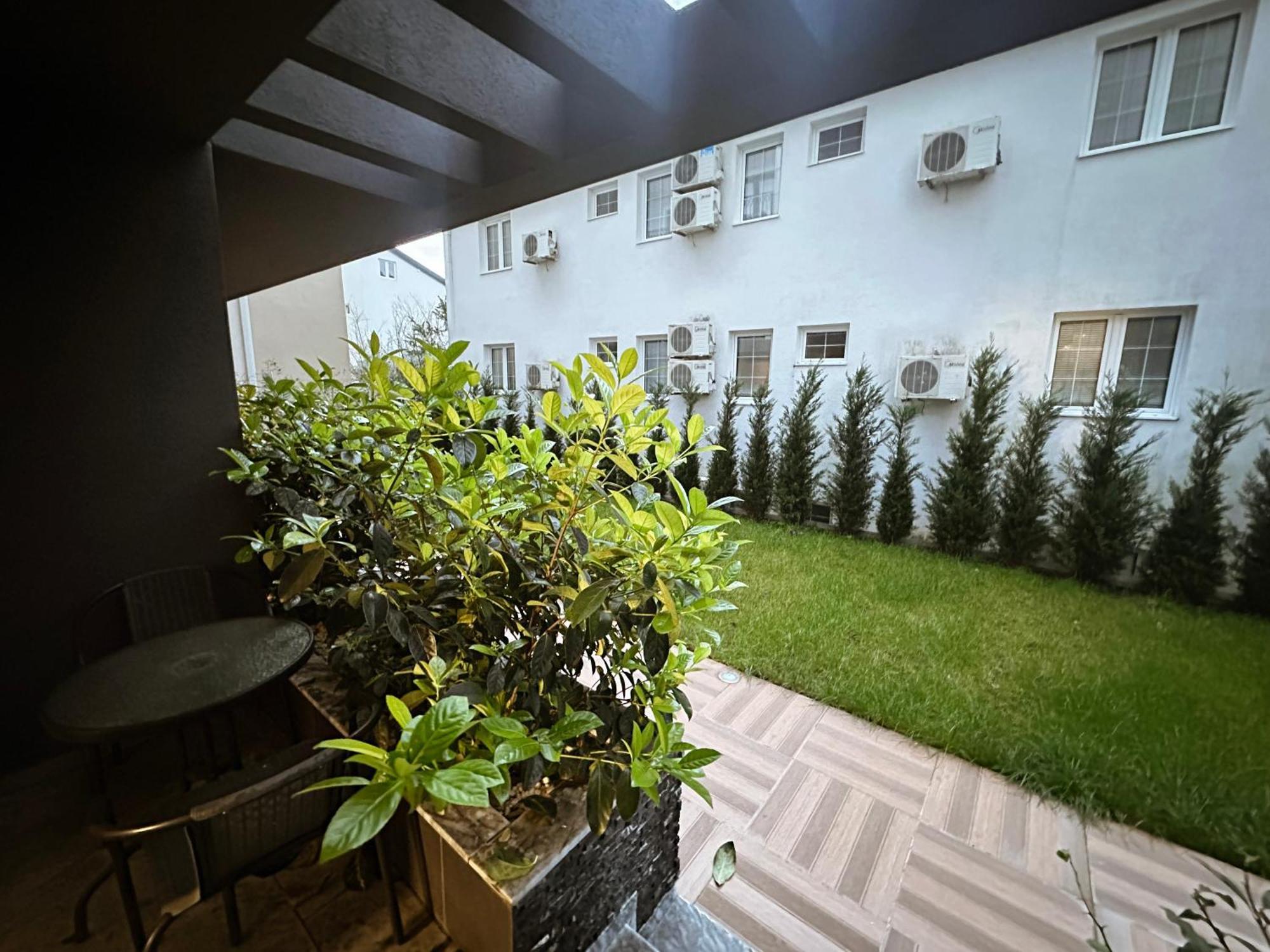 Viola Hotel بودفا المظهر الخارجي الصورة